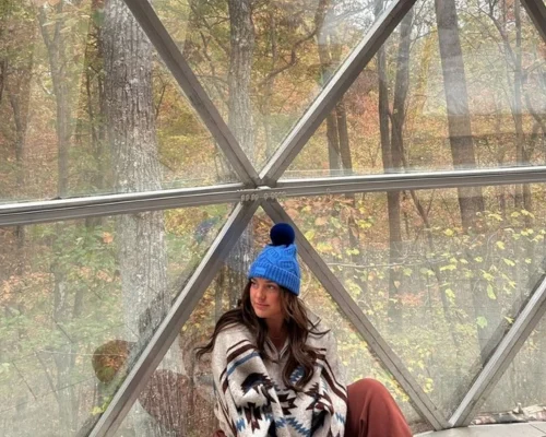 geodesic dome tent with glass bay window