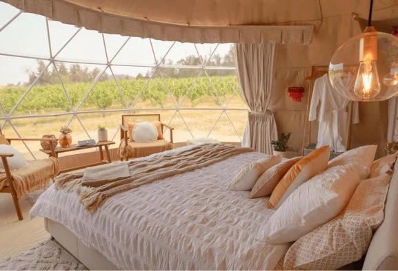 glamping dome sturcture - dream dome tent for sales - geodesic dome tent (1)